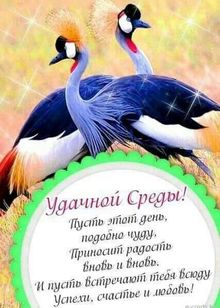 Эскортница Карина, 22 года, Котельники, снять, 3063