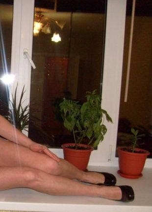 Катя, Сергиев Посад, 29 лет, анкета 2686, +7 968 281-38-41