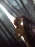 Дарья, Мытищи, анкета 5601, окончание в рот, фото 3