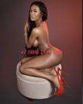 Bella., Балашиха, анкета 139843, gfe, фото 5