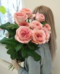  	Ева, Мытищи, анкета 120886, фистинг анальный, фото 1

