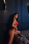 Британи, Люберцы, анкета 308674, окончание на грудь, фото 18